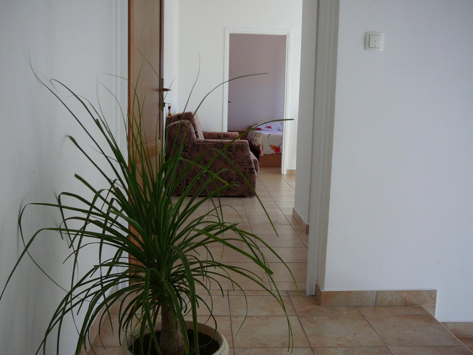 Perica Apartments زادار المظهر الخارجي الصورة